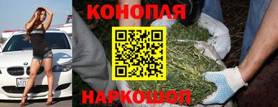 альфа пвп Новодвинск