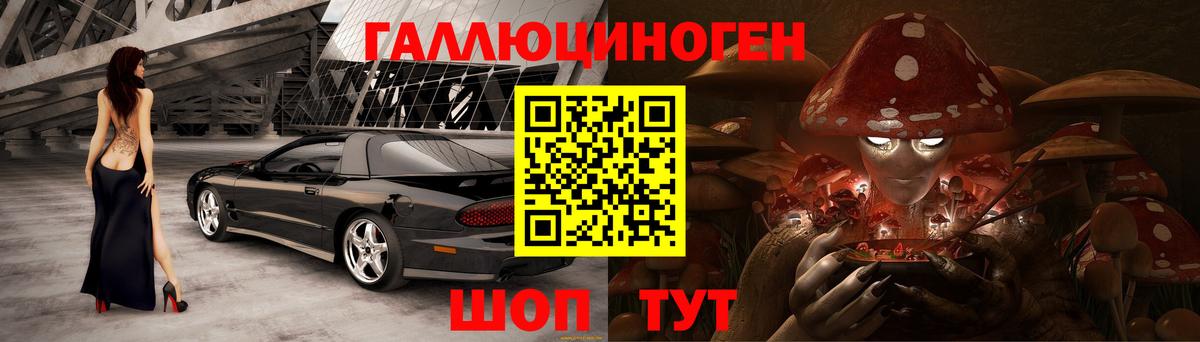 Галлюциногенные грибы Psilocybe Фурманов